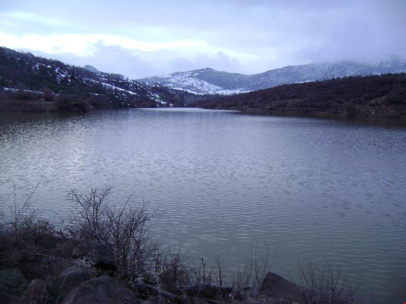 SİMAV-KUŞU