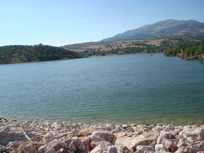 GEDİZ ÇELTİKÇ,